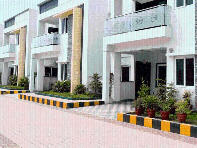3 BHK Villa in Nerellavalasa for rent Visakhapatnam. The reference number is 20986506