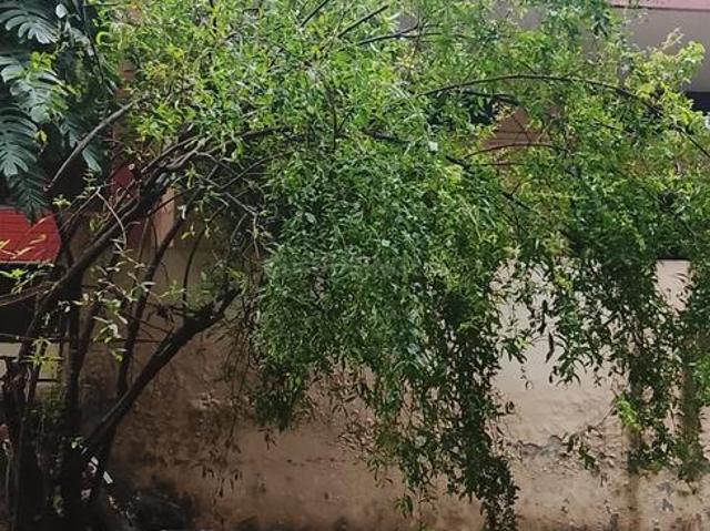 3 BHK Villa in Pitampura for resale New Delhi. The reference number is 20983823