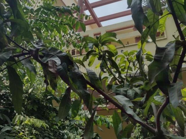 3 BHK Villa in Sivarampalli for rent Hyderabad. The reference number is 21177946