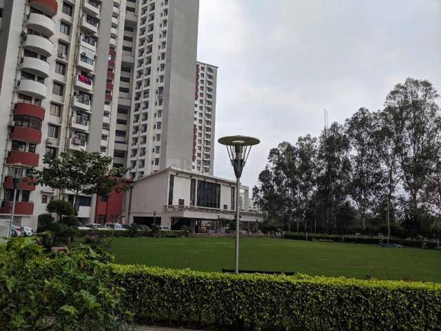 3 BHK Apartment in Chi I for rent Greater Noida. The reference number is 20622565