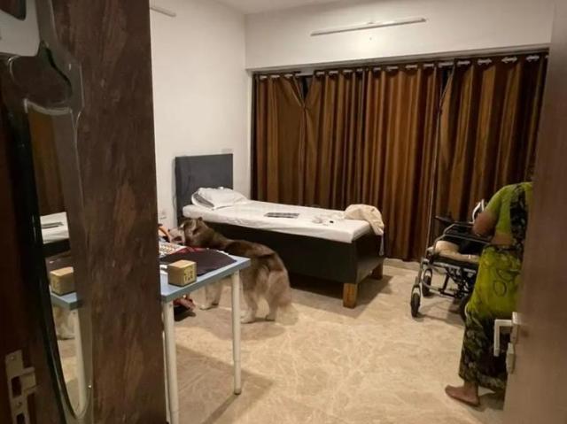 3 BHK Apartment in Andheri West for rent Mumbai. The reference number is 16238871