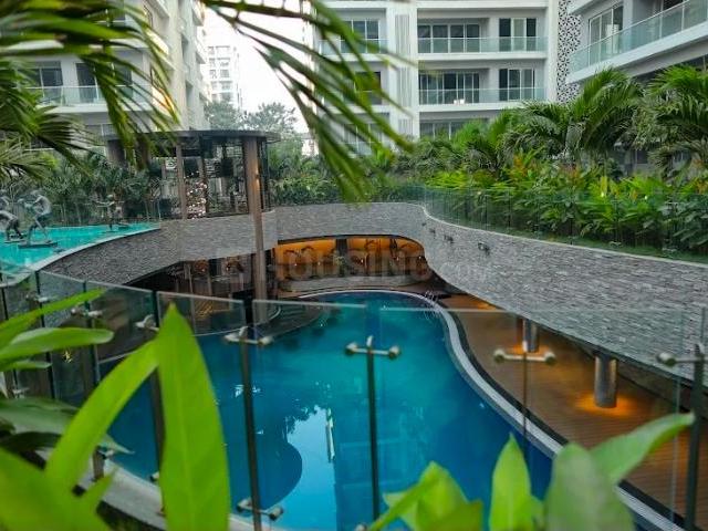 3 BHK Apartment in Althan for rent Surat. The reference number is 20228121