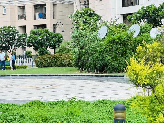 3 BHK Apartment in Ashiana Colony for resale Dera Bassi. The reference number is 18910168