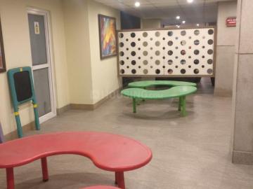 Azadpur Delhi, New Delhi, Delhi - Garden