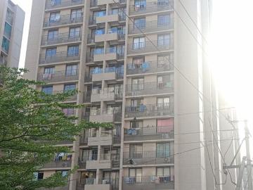 3 BHK Apartment in Bopal for rent Ahmedabad. The reference number is 20554264