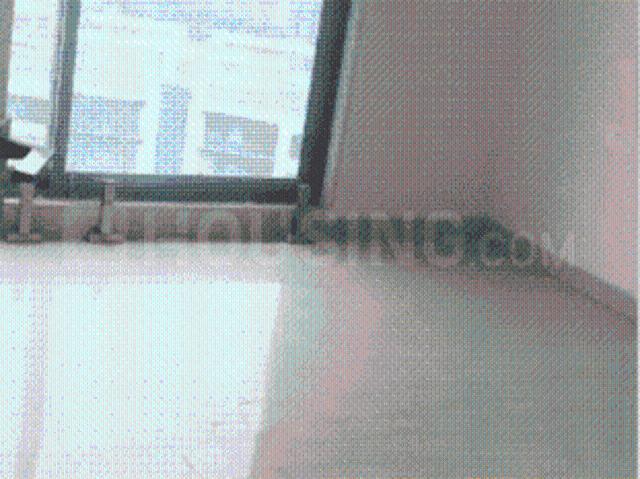 3 BHK Apartment in Bandra East for rent Mumbai. The reference number is 20913001
