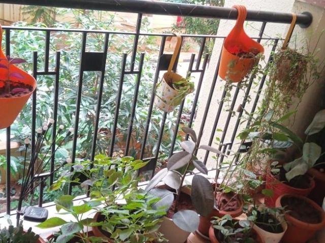 3 BHK Apartment in Bellandur for rent Bengaluru. The reference number is 20565572