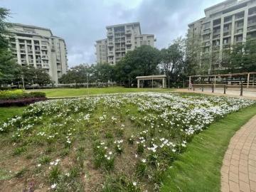 3 BHK Apartment in Bhugaon for resale Pune. The reference number is 20169807