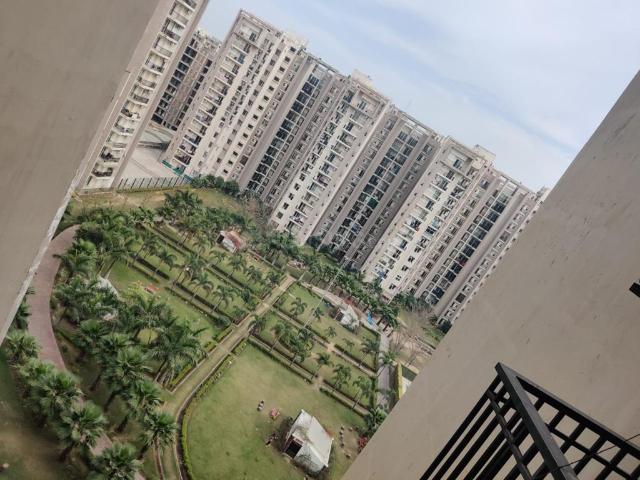 3 BHK Apartment in Gazipur for rent Zirakpur. The reference number is 19767229