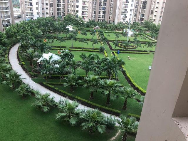 3 BHK Apartment in Gazipur for rent Zirakpur. The reference number is 20147430