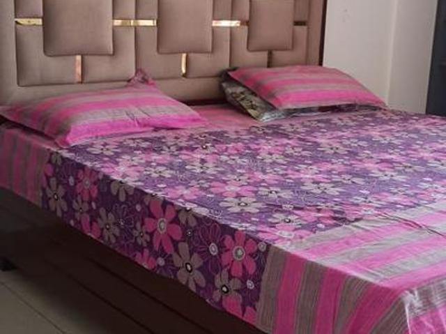 3 BHK Apartment in Gazipur for rent Zirakpur. The reference number is 21191619