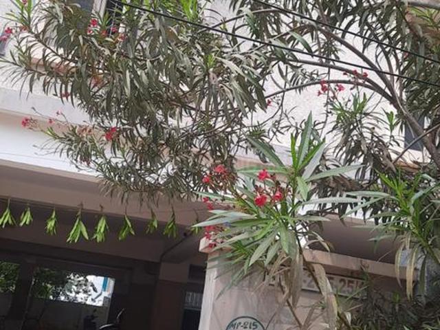 3 BHK Apartment in Guru Nanak Colony for rent Vijayawada. The reference number is 21357989