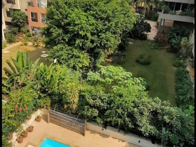 3 BHK Apartment in Danapur for rent Patna. The reference number is 21066695