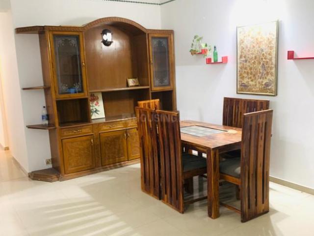 3 BHK Apartment in DLF Phase 2 for rent Gurgaon. The reference number is 18766515