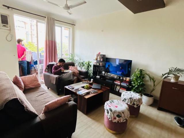 3 BHK Apartment in DLF Phase 2 for rent Gurgaon. The reference number is 18773729