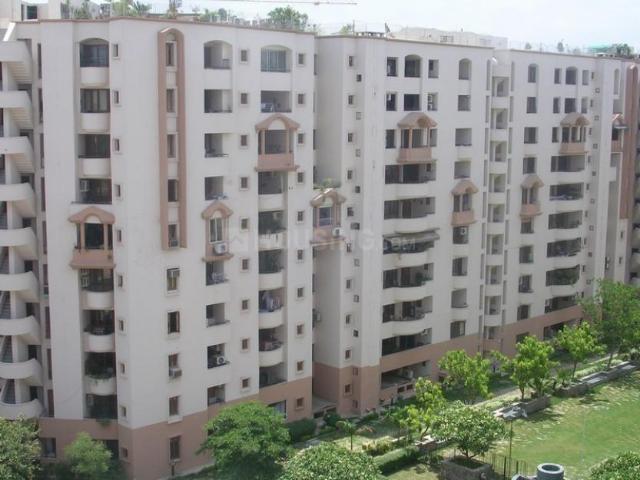 3 BHK Apartment in DLF Phase 3 for resale Gurgaon. The reference number is 20543576