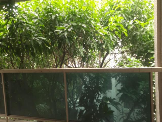 3 BHK Apartment in Kothrud for rent Pune. The reference number is 20931629