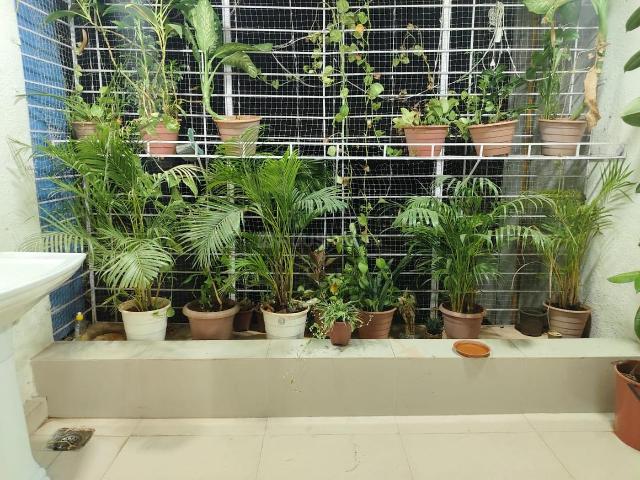3 BHK Apartment in Kopar Khairane for rent Navi Mumbai. The reference number is 20945046