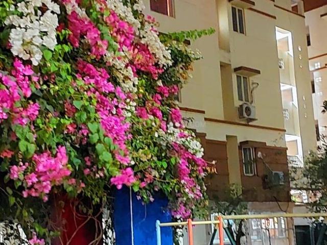 3 BHK Apartment in Kattupakkam for rent Chennai. The reference number is 20172894