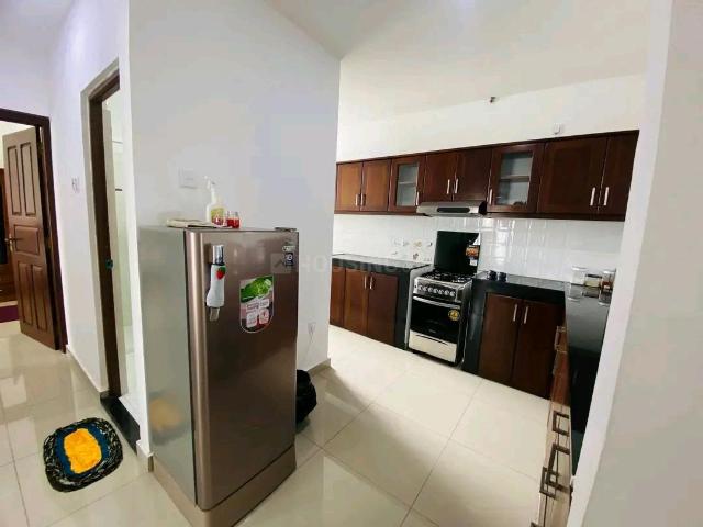 3 BHK Apartment in Kadavanthra for rent Kochi. The reference number is 18170839