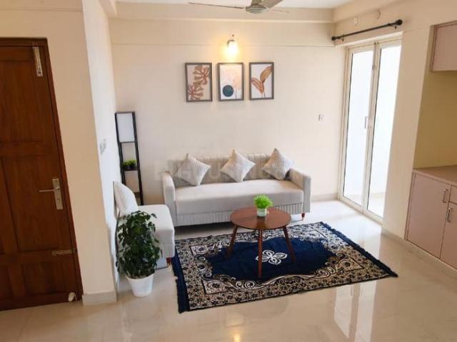 3 BHK Apartment in Kakkanad for rent Kochi. The reference number is 20709031