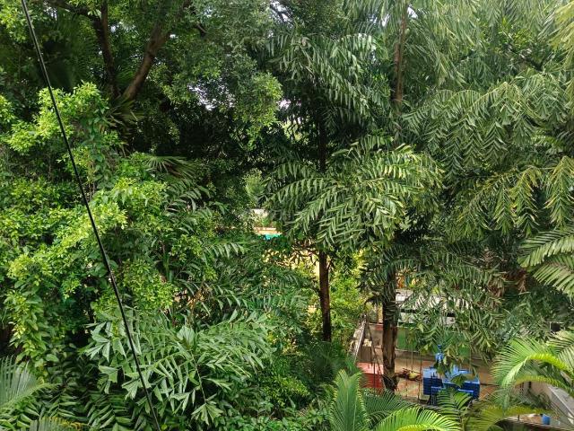 3 BHK Apartment in Kalyani Nagar for rent Pune. The reference number is 20866969