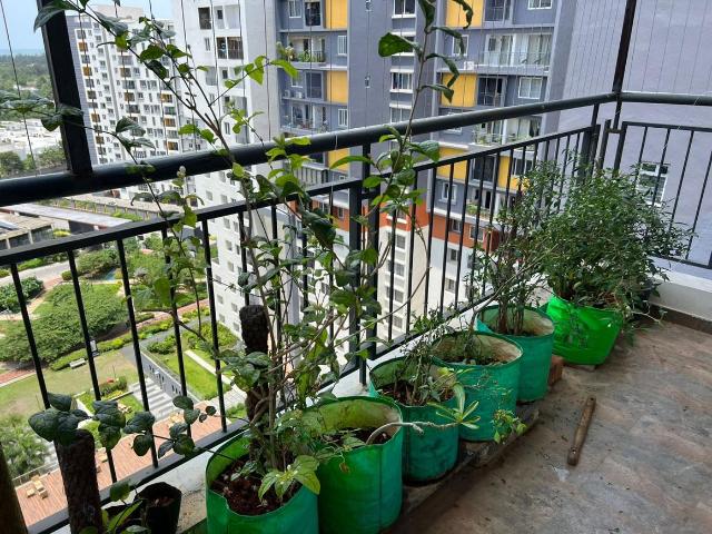 3 BHK Apartment in Kanathur Reddikuppam for rent Chennai. The reference number is 20483989