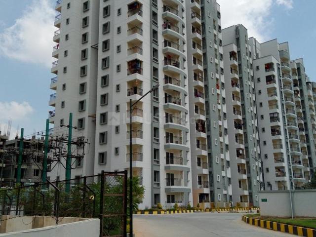 3 BHK Apartment in Kasavanahalli for rent Bengaluru. The reference number is 20544379