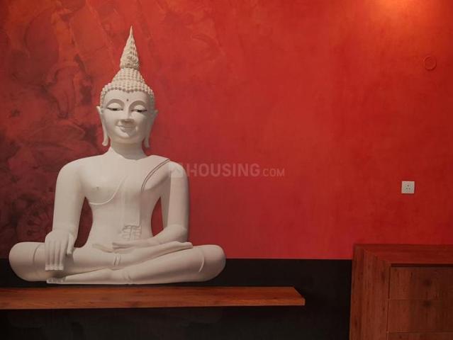 3 BHK Apartment in Kasavanahalli for rent Bengaluru. The reference number is 20257728