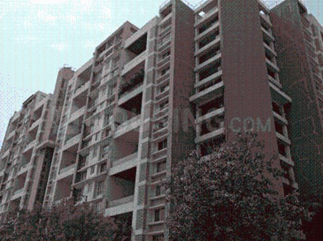3 BHK Apartment in Kharadi for rent Pune. The reference number is 21193763