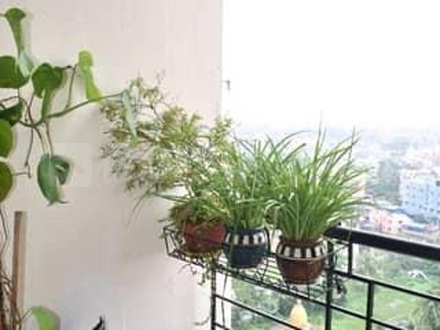 3 BHK Apartment in Khardaha for resale Kolkata. The reference number is 20949568