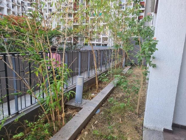 3 BHK Apartment in Hinjawadi for rent Pune. The reference number is 20483393
