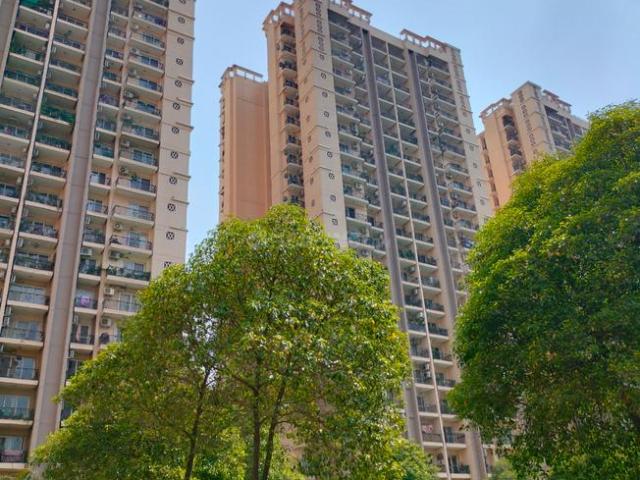3 BHK Apartment in Indirapuram for rent Ghaziabad. The reference number is 20560872