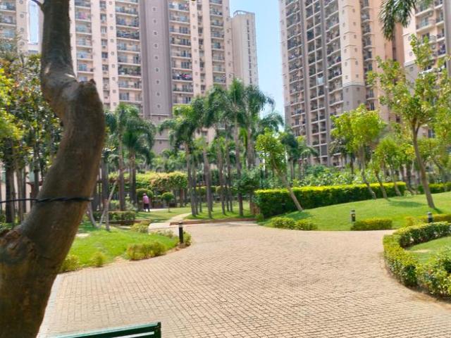 3 BHK Apartment in Indirapuram for rent Ghaziabad. The reference number is 20856254