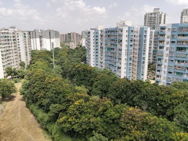 3 BHK Apartment in Jagatpur for resale Ahmedabad. The reference number is 21087487
