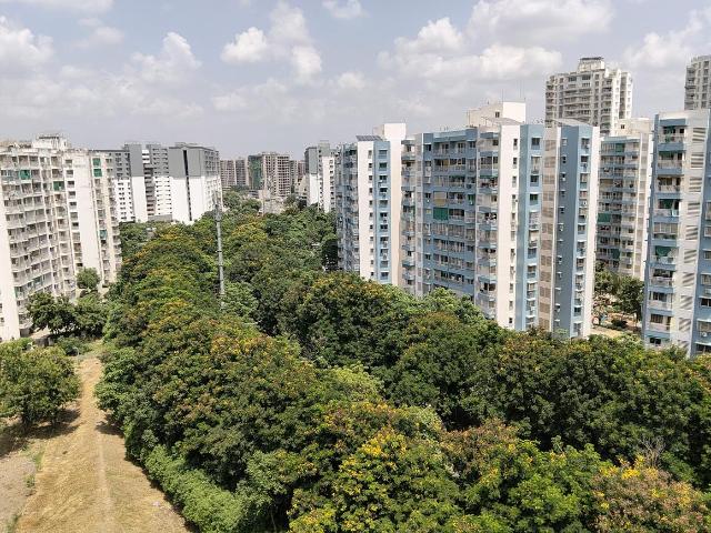 3 BHK Apartment in Jagatpur for resale Ahmedabad. The reference number is 21087501