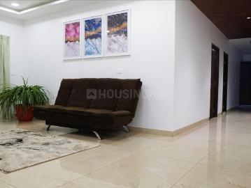 3 BHK Apartment in Jubilee Hills for rent Hyderabad. The reference number is 20182337