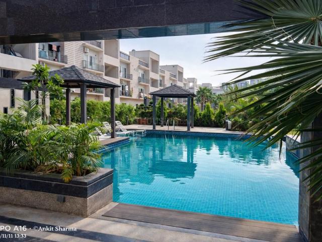 3 BHK Apartment in Lalarpura for rent Jaipur. The reference number is 21365462