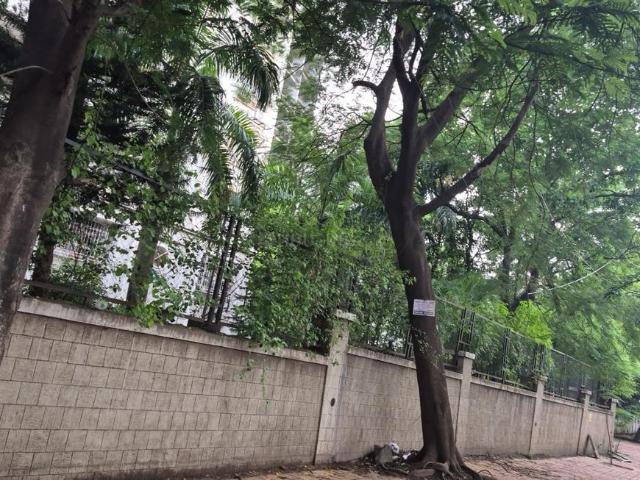 3 BHK Apartment in Magarpatta City for rent Pune. The reference number is 20831914