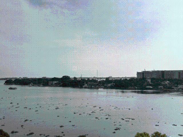3 BHK Apartment in Marine Drive for rent Kochi. The reference number is 18582779