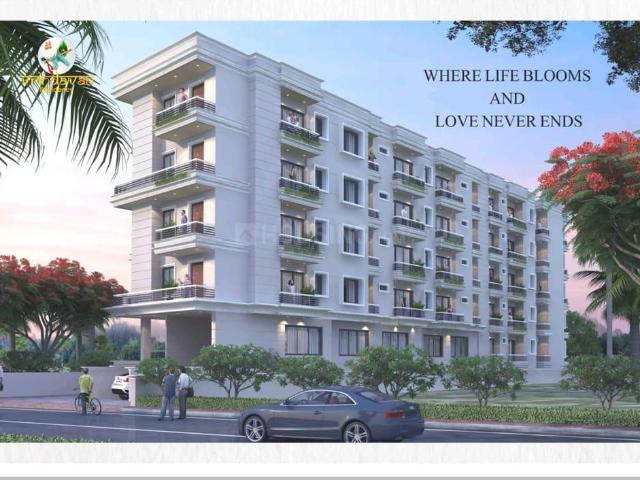 3 BHK Apartment in Mustafapur for resale Patna. The reference number is 16912801
