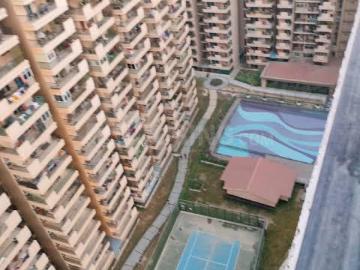 3 BHK Apartment in Noida Extension for rent Greater Noida. The reference number is 18730621