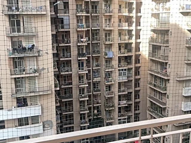 3 BHK Apartment in Noida Extension for rent Greater Noida. The reference number is 18823776