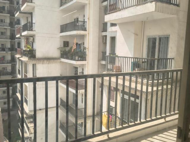 3 BHK Apartment in Noida Extension for rent Greater Noida. The reference number is 20705532