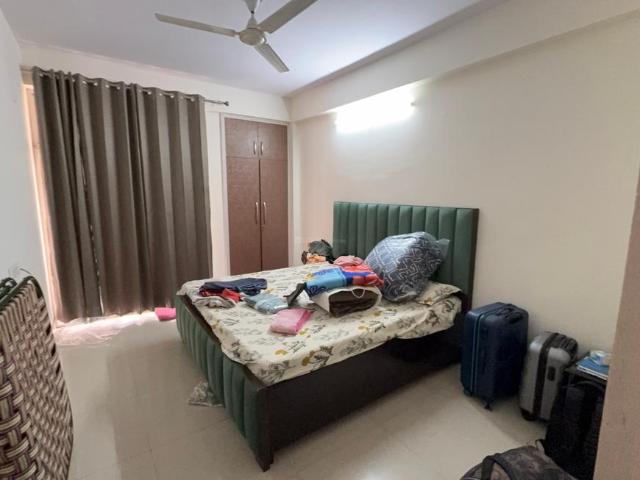 3 BHK Apartment in Noida Extension for rent Greater Noida. The reference number is 20975989