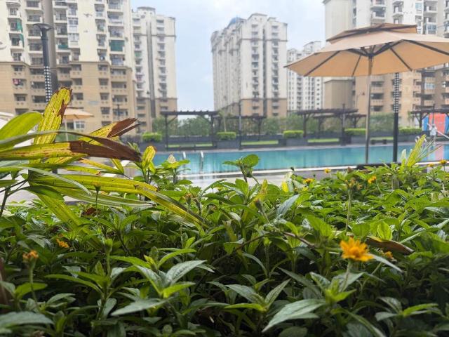 3 BHK Apartment in Noida Extension for rent Greater Noida. The reference number is 21274520