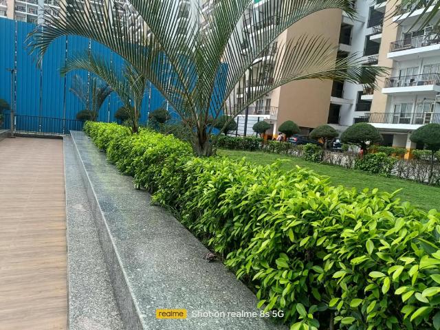3 BHK Apartment in Noida Extension for rent Greater Noida. The reference number is 21331227