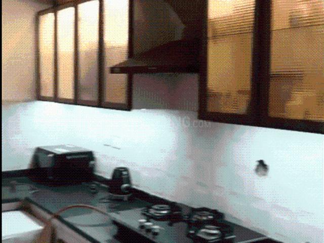 3 BHK Apartment in Noida Extension for resale Greater Noida. The reference number is 20525058
