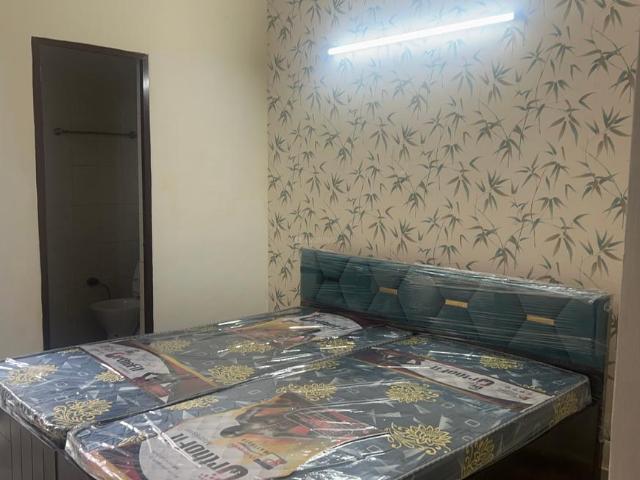 3 BHK Apartment in Nabha for rent Zirakpur. The reference number is 20753094