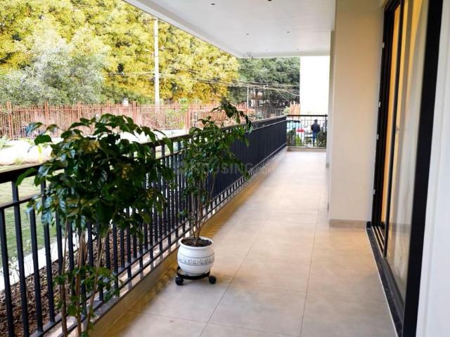 3 BHK Apartment in Nabha for resale Zirakpur. The reference number is 20508308